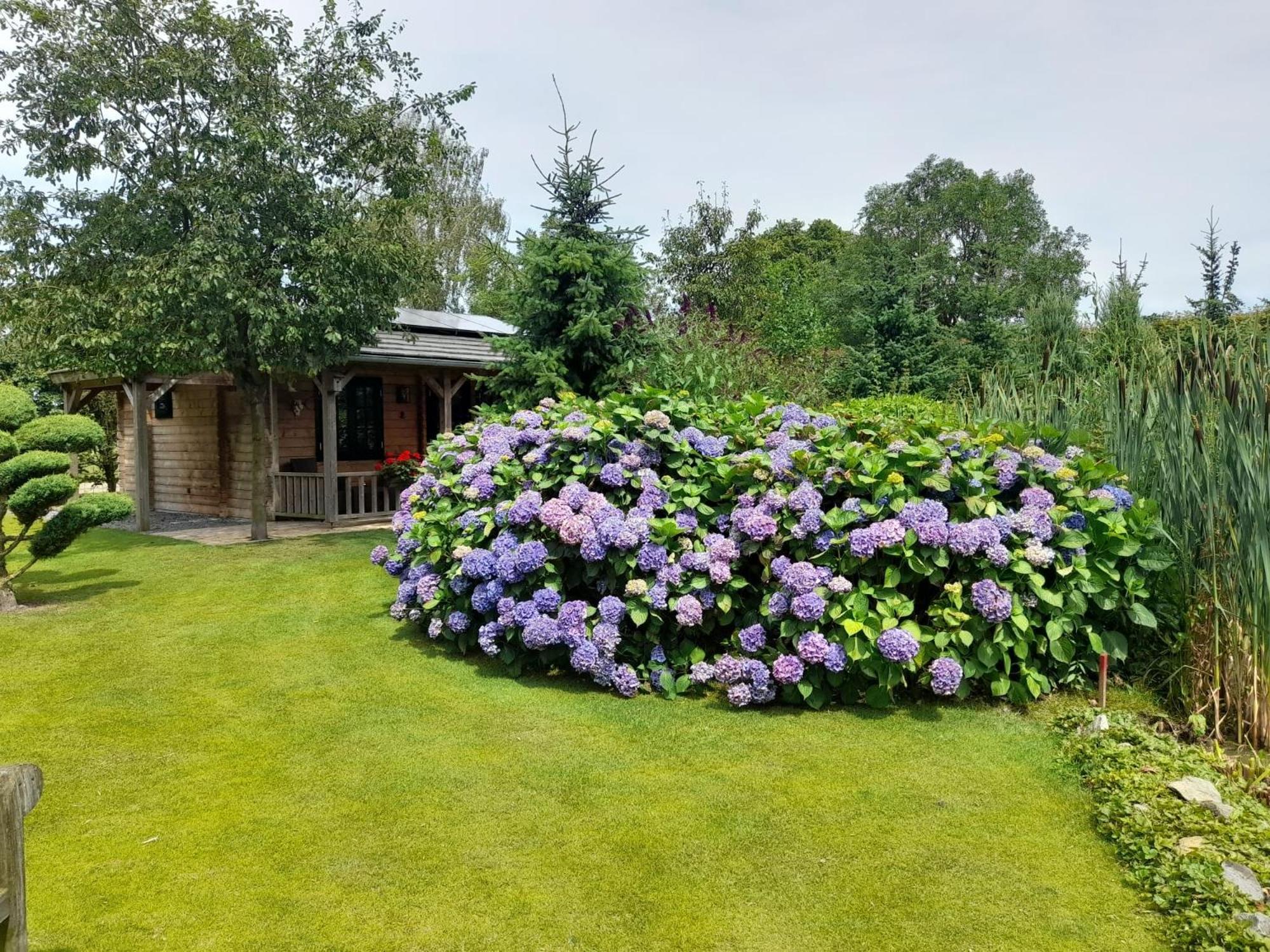 Appel Lodge Diessen Dış mekan fotoğraf